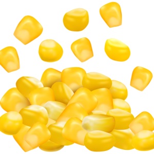 Corn PNG