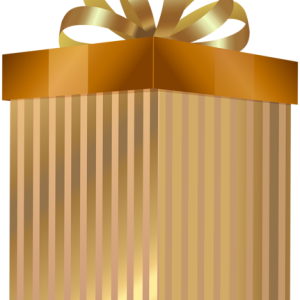 Gift box PNG