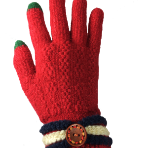 Gloves PNG