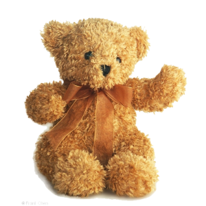 Teddy bear PNG