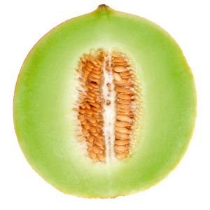 Melon PNG