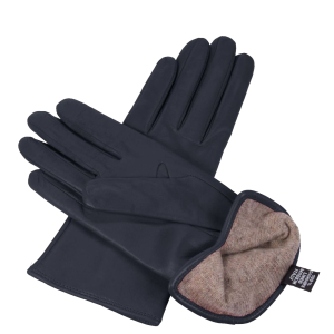 Gloves PNG