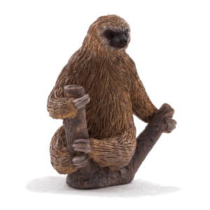 Sloth PNG