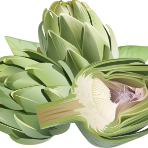 Artichoke PNG