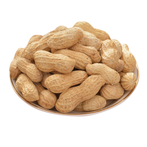 Peanut PNG