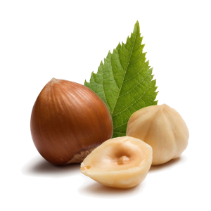 hazelnut PNG