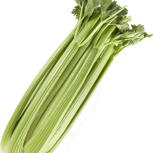 Celery PNG