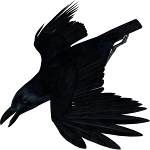 Raven PNG