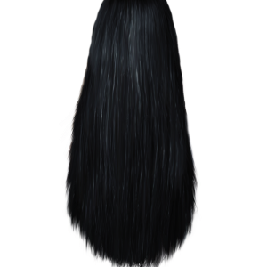 Women hair PNG image