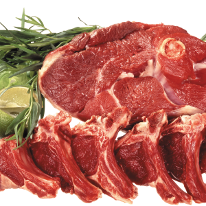 meat PNG