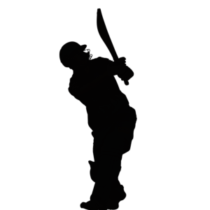 Cricket PNG