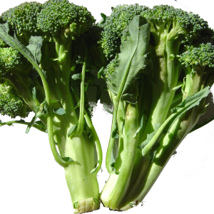 Broccoli PNG