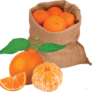 Mandarin PNG
