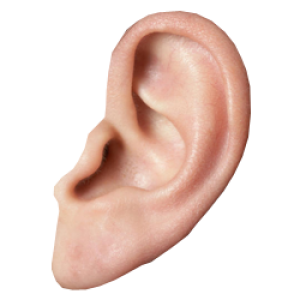 Ear PNG