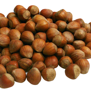 hazelnut PNG