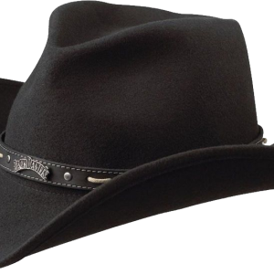Cowboy hat PNG