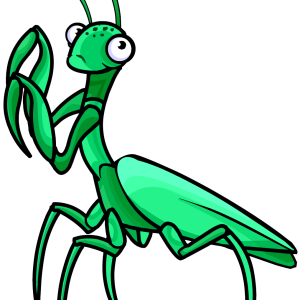 Mantis PNG