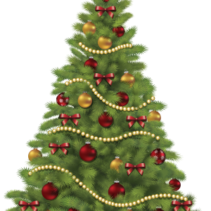 Christmas tree PNG