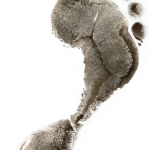 Footprints PNG