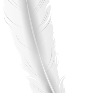 Feather white image PNG