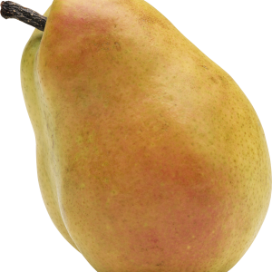 Pear PNG image