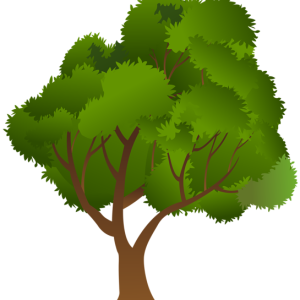 tree PNG