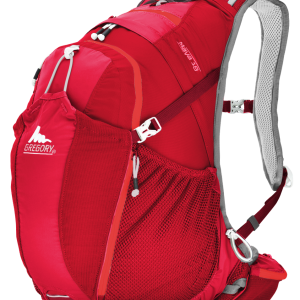 Backpack PNG image