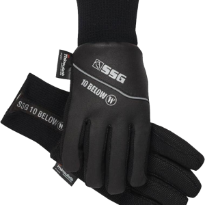 Gloves PNG