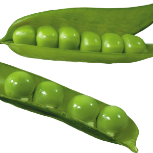 Pea PNG