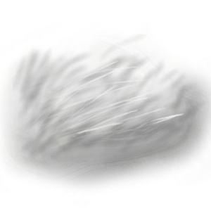 Pelaje PNG