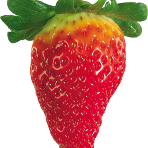 Strawberry PNG image with transparent background