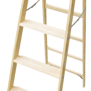 ladder PNG