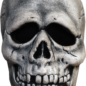 Skull PNG