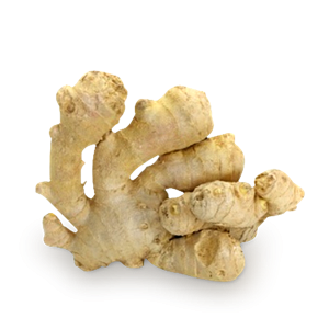Ginger PNG