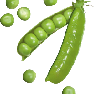 Pea PNG