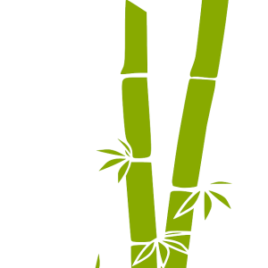 Bamboo PNG