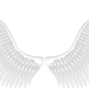 Wings PNG