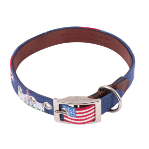 Dog collar PNG
