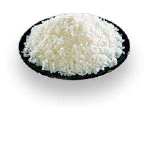 rice PNG