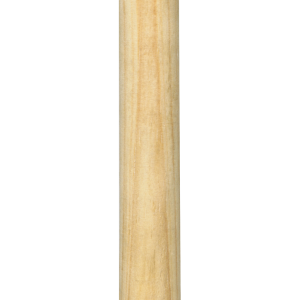 Plunger PNG