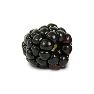 Blackberry PNG