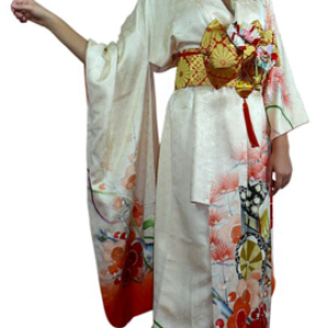Kimono PNG