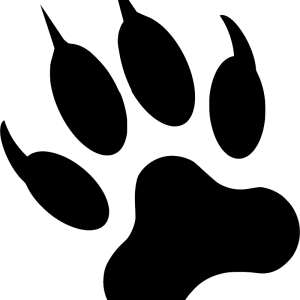 Paw PNG