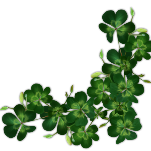 Shamrock PNG