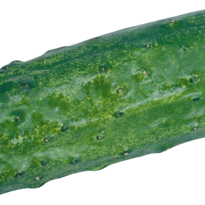 Cucumber PNG