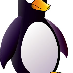 Linux logo PNG