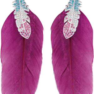 feather earrings PNG image