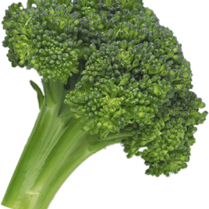 Broccoli PNG