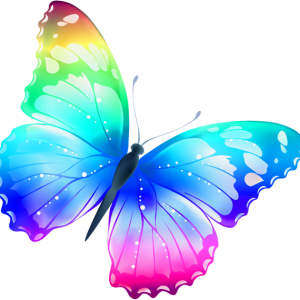 Colorful butterfly PNG image