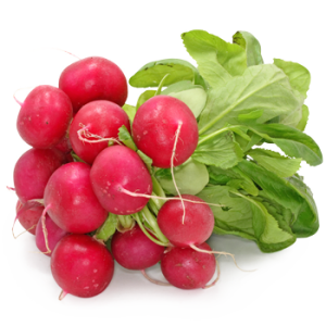 Radish PNG